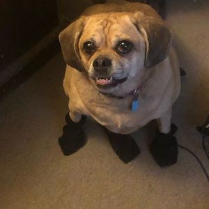 Meet your Posher, Marla